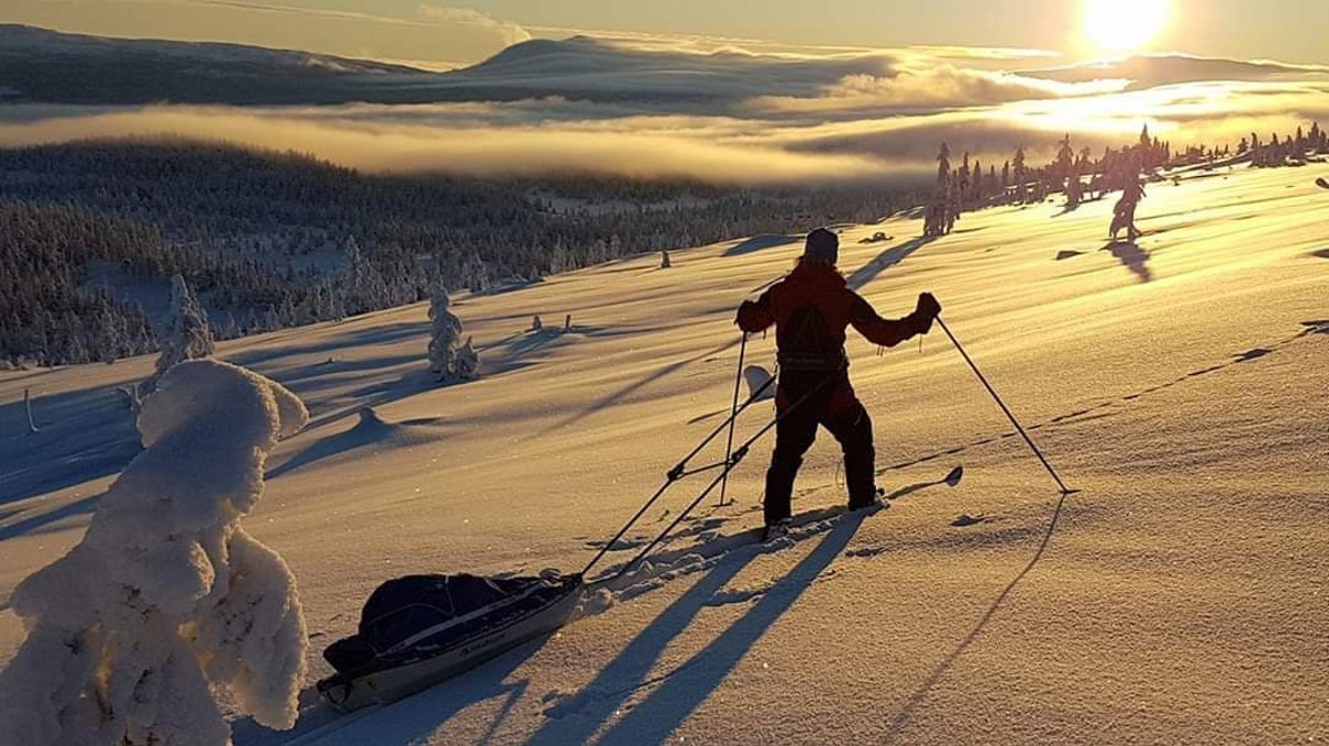 En skiløper med pulk går mot solnedgangen