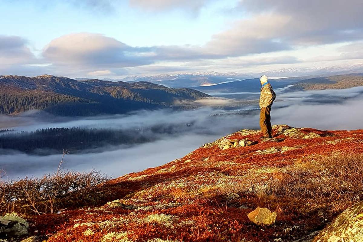 En mann står på en fjelltopp, omgitt av lyng, og ser utover fjellene