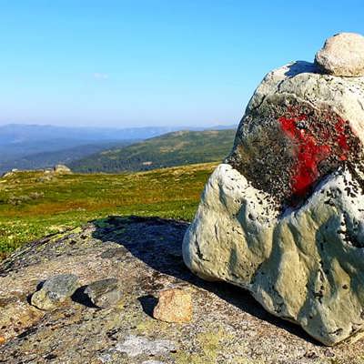 En stein markert med en rød "T" ligger i et sommerlig fjellandskap